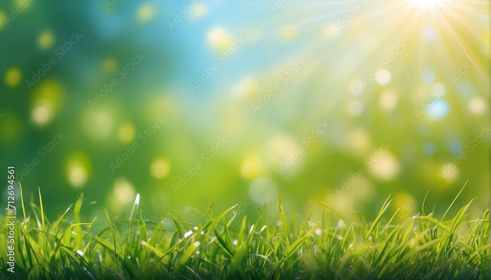 Abstract spring background banner or summer with fresh grass