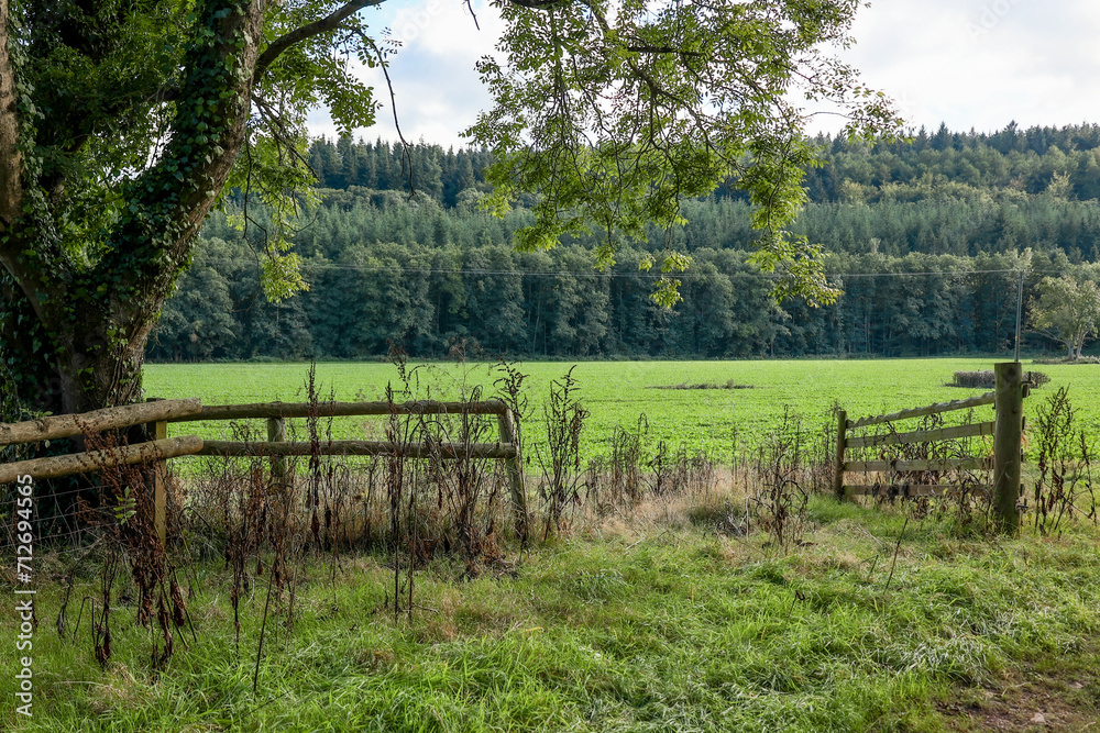 Pasture fenced with a wooden fence, Dunster, Somerset, Exmoor.
