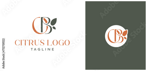 Photos OB Letters Citrus Logo and Icon