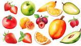 Watercolor fruit on a white background. Bright fruits are painted with watercolors.