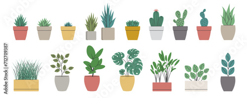 Set of decorative houseplants. Collection trendy plants and nature homemade flowers in pot interior decoration in flat style. Vector illustration on white background photo