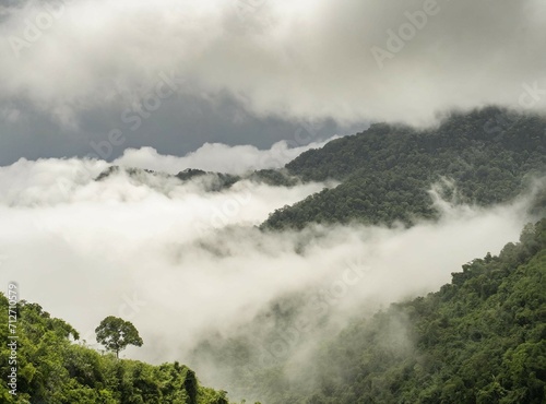 Foggy mountains background © D'Arcangelo Stock