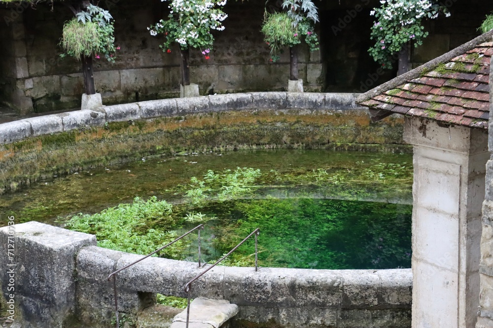Ταπετσαρία Tropical color at the Fosse Dionne in Tonnerre