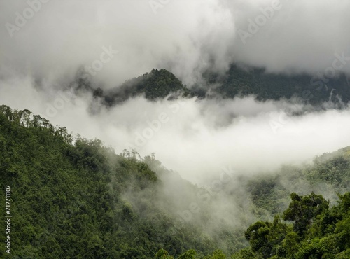Foggy mountains background