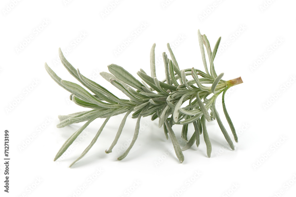 Lavender twig spice, isolated on white background. Lavender twig spice, isolated on white background.