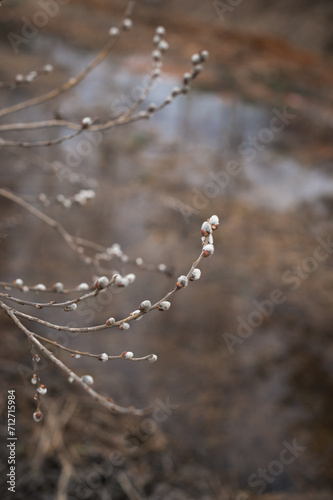 A branch with water drops on it, suggesting a natural setting, possibly outdoors in a wintery environment 5557.