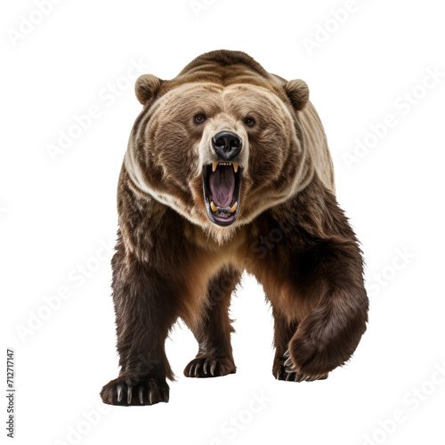 Roaring Grizzly Bear Isolated on Transparent Background - Stock Image © INORTON