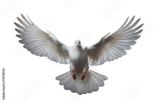 Peaceful White Dove Isolated on Transparent Background - High-Quality Illustration