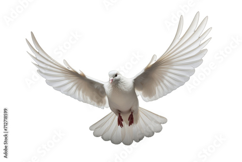 Peaceful White Dove Isolated on Transparent Background - Royalty-Free Image