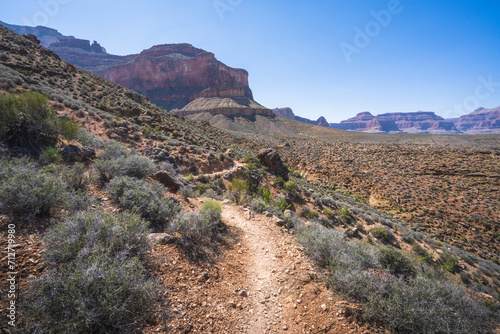 Obraz na płótnie hiking the tonto trail in the grand canyon national park, arizona, usa w salonie