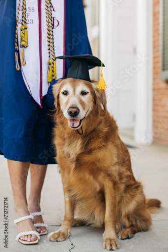 dog wearing a graduation hat