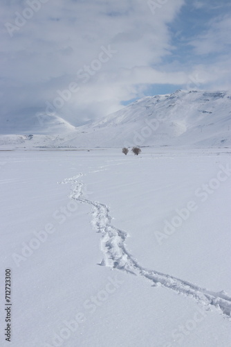 A pristine winter landscape, marked by a solitary trail of footsteps weaving through the untouched snow, under a vast sky of billowing clouds. photo