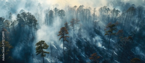 Controlled burn performed by state forest service in smoky southeastern North Carolina forest, seen from above.