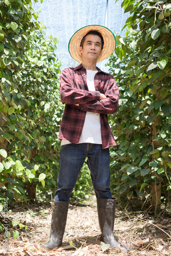 Full body A Thai farmer wearing a red shirt posing cross arms at a farm. low view angle camera