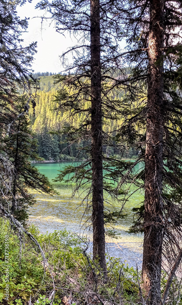 Fototapeta premium Views from the trail of Swiftcurrent Lake in Many Glacier Region of Glacier National Park