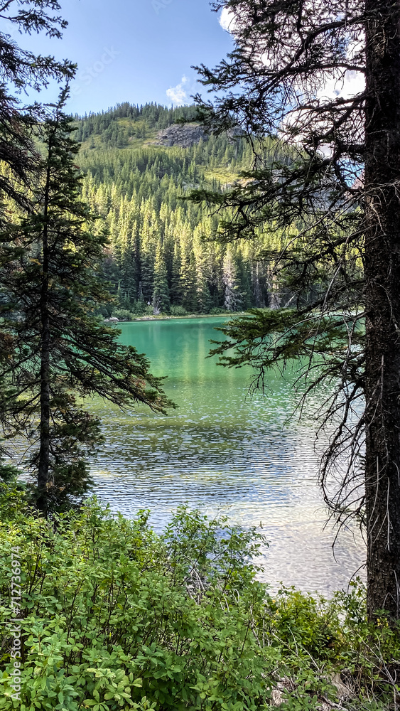 Obraz premium Views from the trail of Swiftcurrent Lake in Many Glacier Region of Glacier National Park