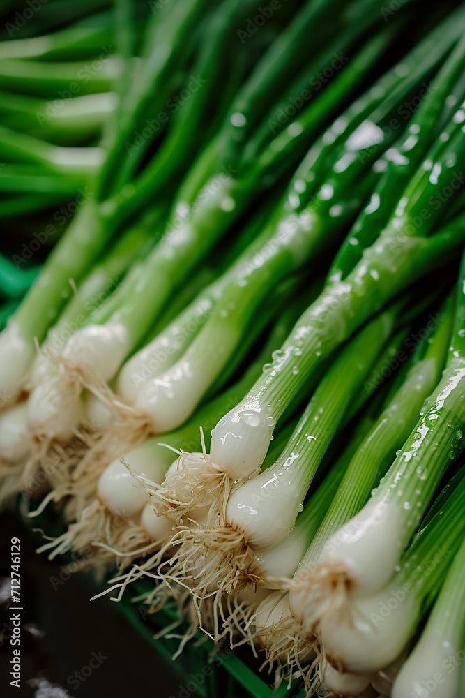 Bundles of green onions for sale at the produce market. Green onion with dew drops on market stall. Concept of organic product sold on the market. Bundles of green onions for sale at the produce market. Green onion with dew drops on market stall. Concept of organic product sold on the market.