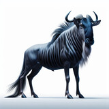 Blue wildebeest (Connochaetes taurinus), ñu común, ñu azul, ñu de cola negra, ñu listado o gorgón,  isolated White background.