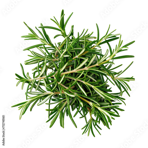 Fresh Rosemary Herb PNG Transparent Background