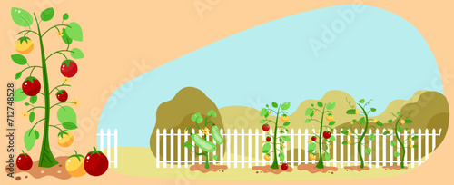 Farming cultivated plot, farmland countryside nature, agronomy hill harvest, design, in cartoon style vector illustration. Harvest growth unconstrained, rural meadow landscape, farmer field work.