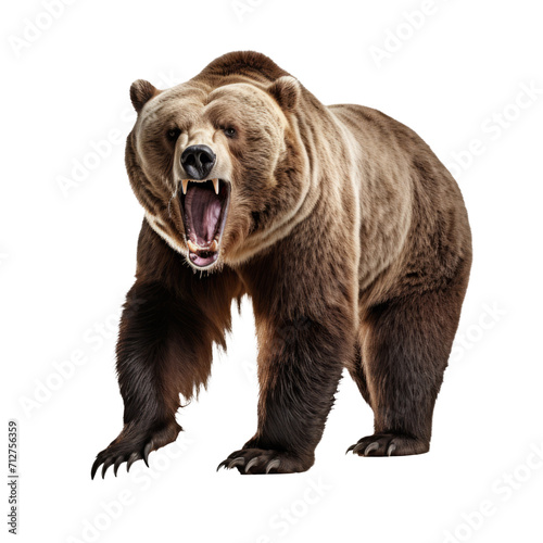 Majestic Grizzly Bear Roar Isolated on Transparent Background - Royalty-Free Wildlife Illustration