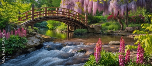 Pink Bistort flowers near a stream, with wisteria-covered bridge at RHS Wisley, Surrey, UK. photo