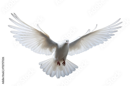 Graceful White Dove on Transparent Background - Peaceful Bird Illustration photo