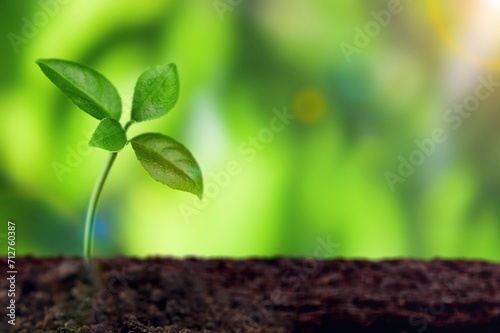 Save Planet Earth Day with Green Plant in soil