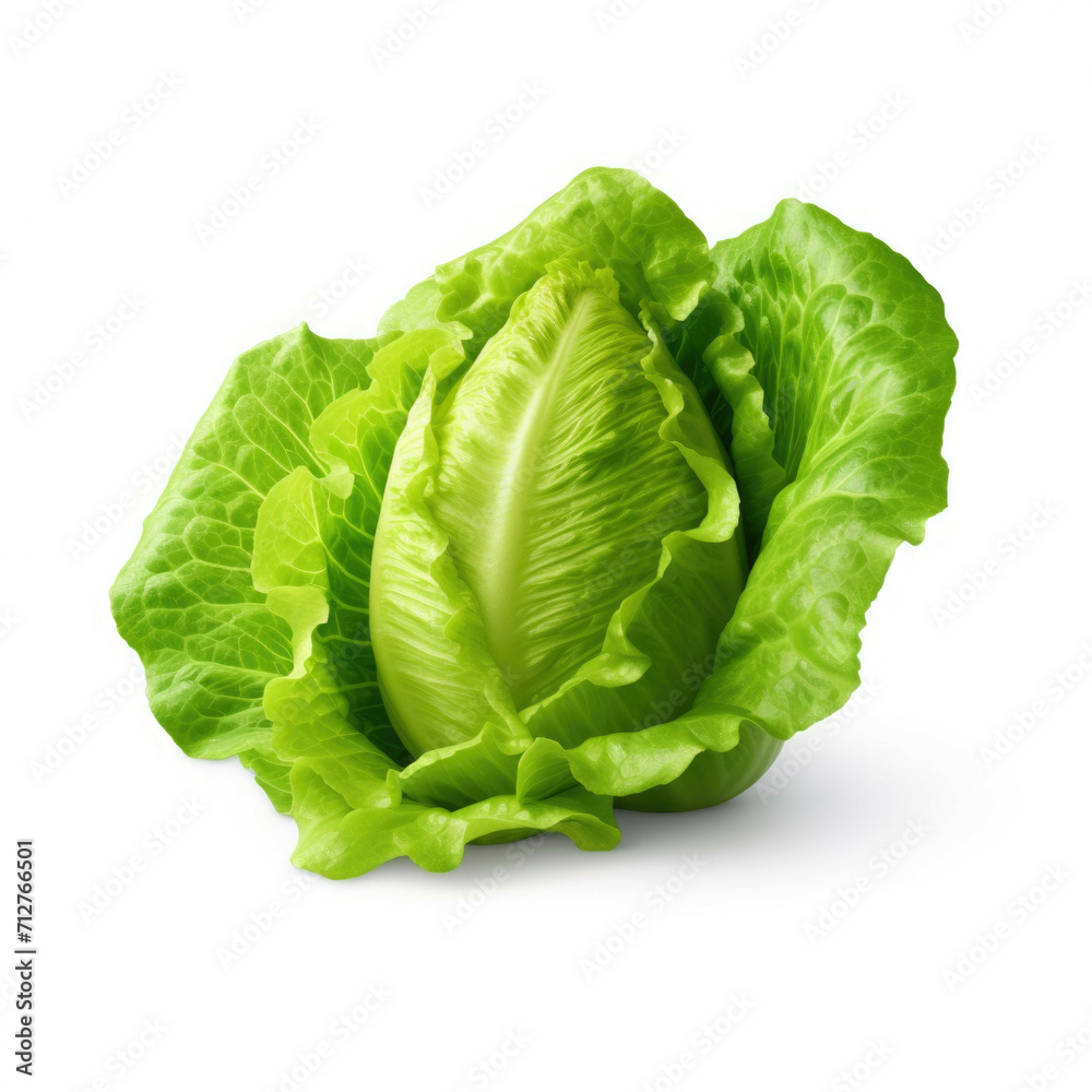 Fototapeta premium Lettuce isolated on white background