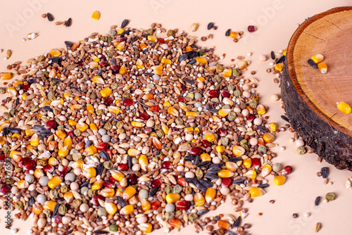 Assorted bird seed, feed for racing pigeons