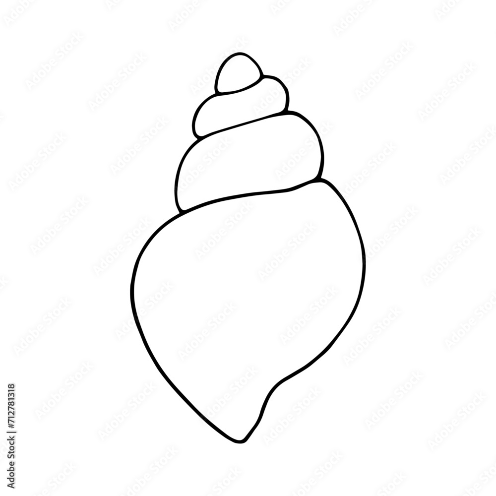 Linear sketch, outline of a sea shell. Decorative element for sea summer designs. Vector graphics. Linear sketch, outline of a sea shell. Decorative element for sea summer designs. Vector graphics.