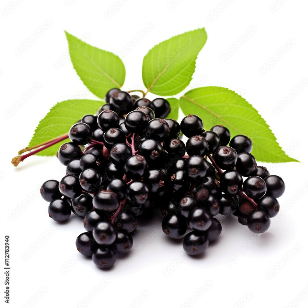 Elderberries isolated on white background Elderberries isolated on white background