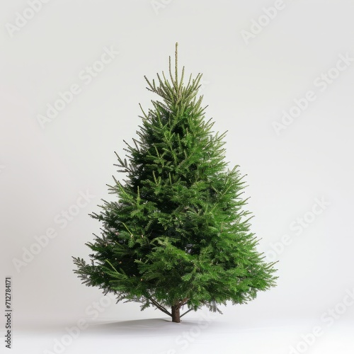 green christmas tree Minimalist beauty captured in studio photos of unadorned objects. Contrasted with a pure white background