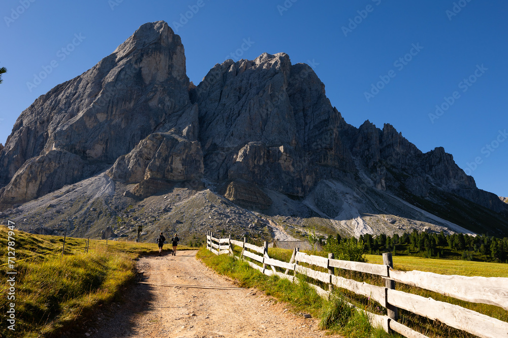Narrow road separated from green meadows by low wooden fence in area, Mont-de-Fornel region, Dolomites.