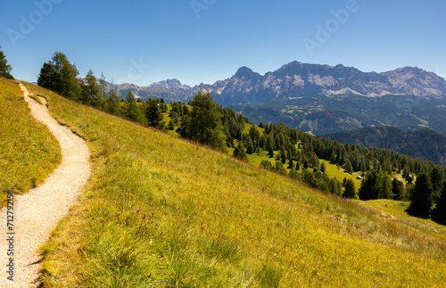 Spectacular view of lush green alpine meadows and forests on slopes of Dolomite mountains with dramatic rocky summits on sunny summer day, Italy..