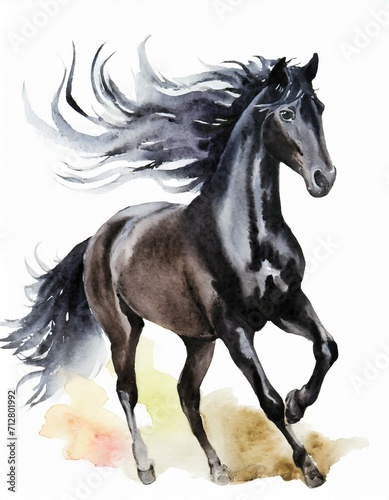 Black horse watercolor illustration