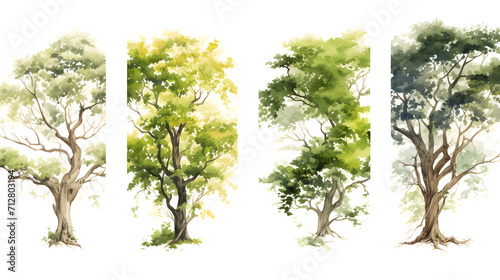 Four vertical of illustration watercolor style image frame sequence that show tree. Four different trees.