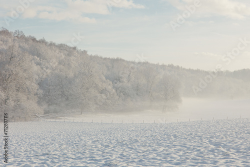 Wallpaper Mural Fairy snowy forest in fog in beautiful winter at sunrise. Torontodigital.ca