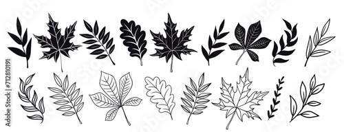 Set of autumn leaves. Set of autumn leaf silhouettes. Autumn leaf icons set.