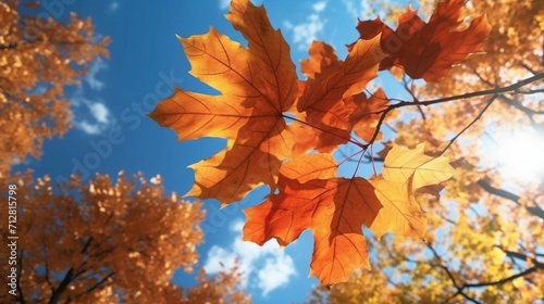 Maple leaf Autumn Fall forest background blue sky land Ai Generative