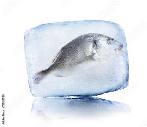 Frozen food. Raw dorada fish in ice cube isolated on white