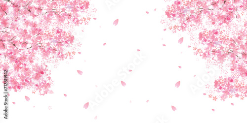 桜　春　花びら　背景