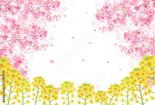 桜　春　菜の花　背景