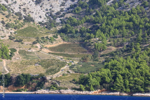 Fototapeta Naklejka Na Ścianę i Meble -  Hillside community and farms on the Croatian coast