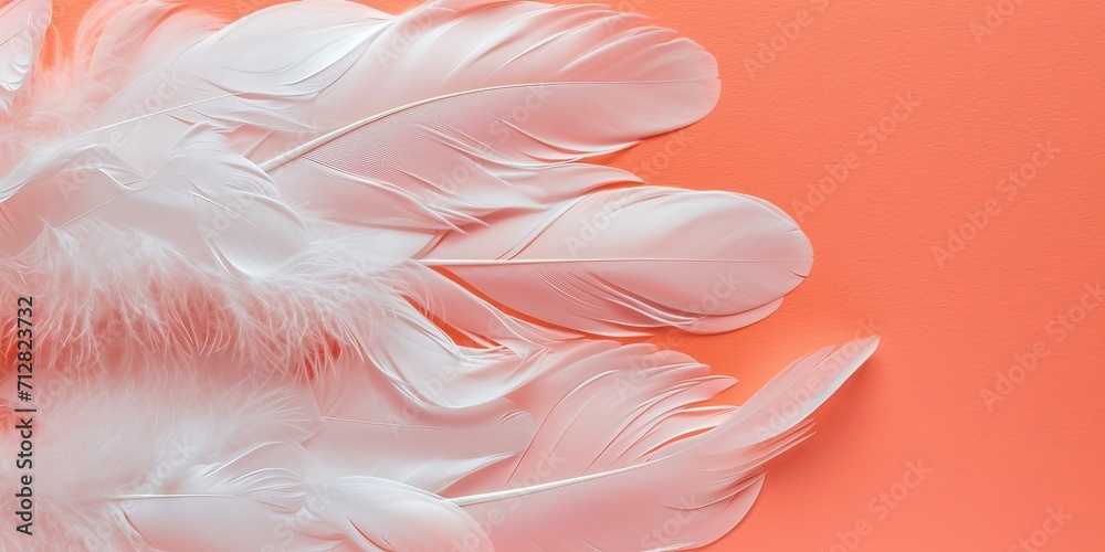 White feather on bright peach-pink/coral background, space for text. 