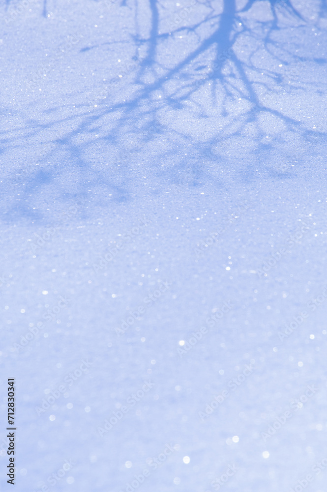 Obraz premium キラキラした雪に反射した木の影。
