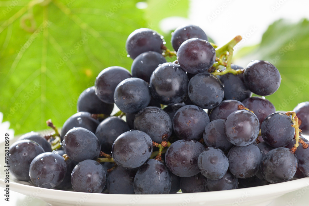 Fototapeta premium ぶどう