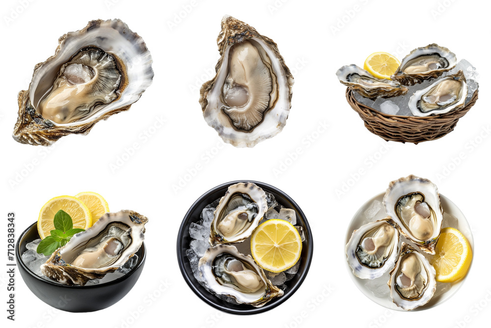 Oyster and lemon collection in concept in png no background for decoration. Created using generative AI. Oyster and lemon collection in concept in png no background for decoration. Created using generative AI.