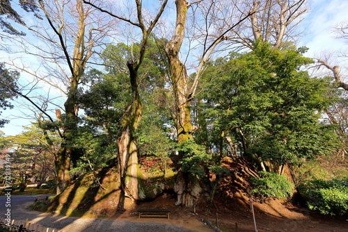 Kenroku-en located in Kanazawa, Ishikawa, Japan, one of the Three Great Gardens of Japan. photo