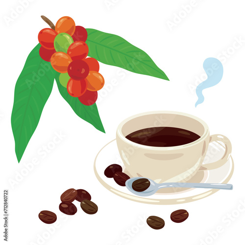 コーヒーの実とコーヒー
